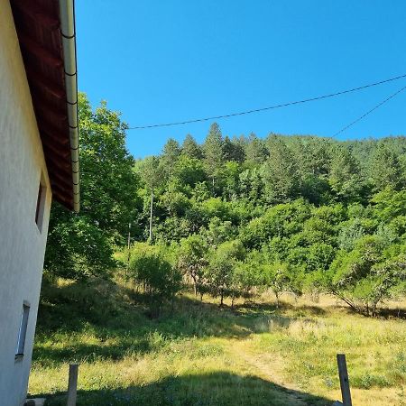 Apartman „Skobic” Višegrad 外观 照片